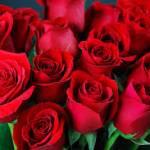 Reza Safawi Profile Picture