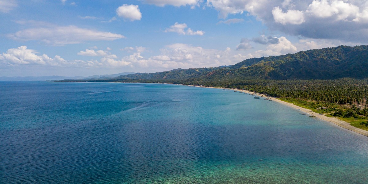 Best Port Douglas Attraction Tours for First-Time Visitors