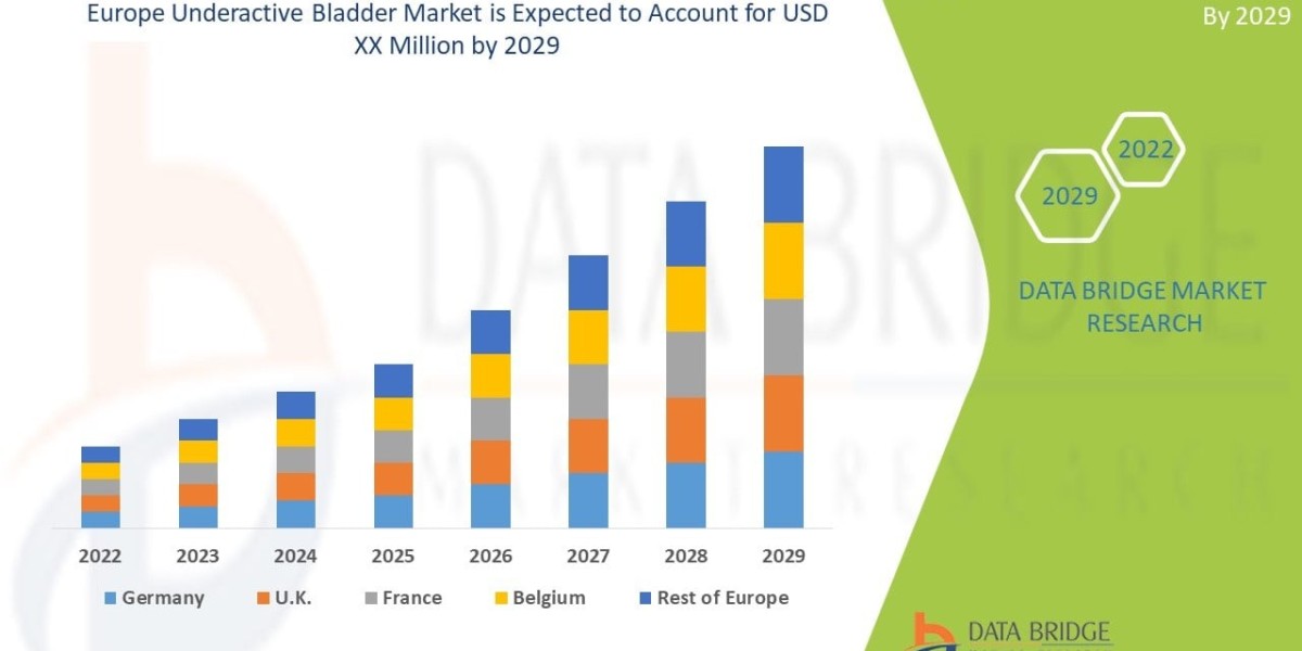 Europe Underactive Bladder Market Size and Demand Analysis