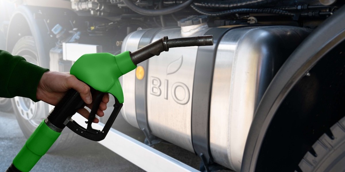 Biofuel Testing Services Market Hindrances Exposing Silent Constraints Disrupting Scalability And Operational Efficiency