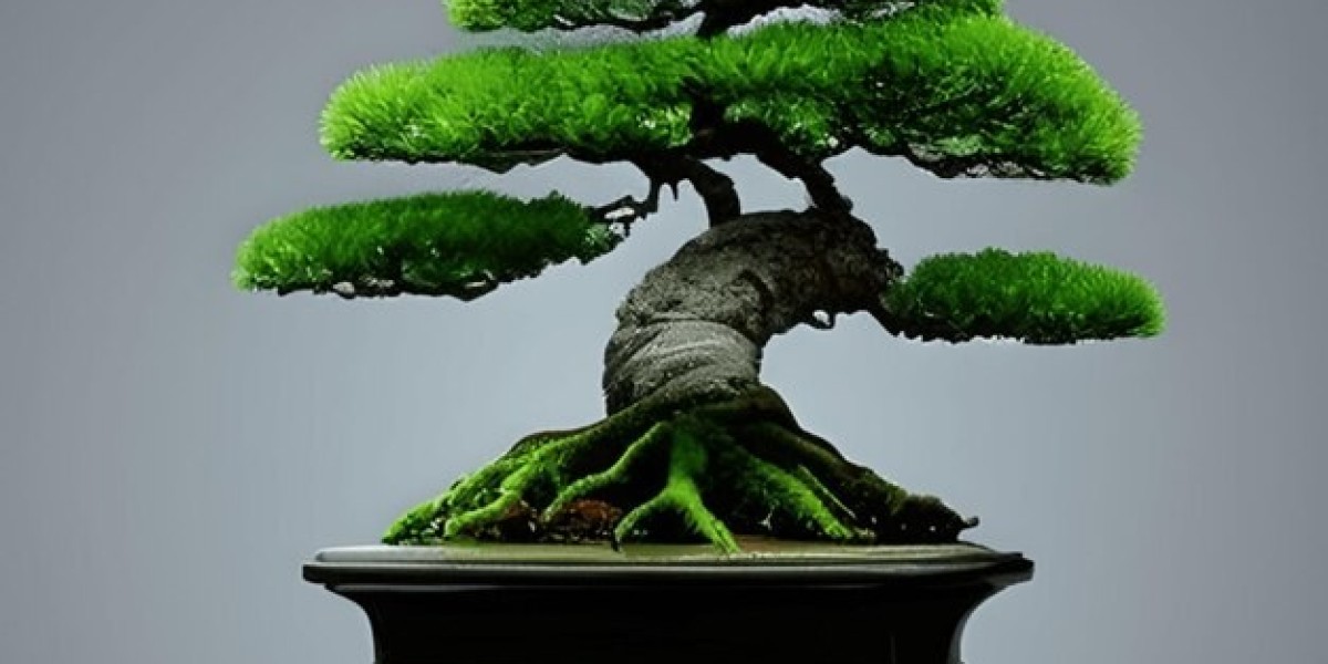 Bonsai Market Scope Expanding Through Global Gardening Trends And Urban Lifestyle Preferences