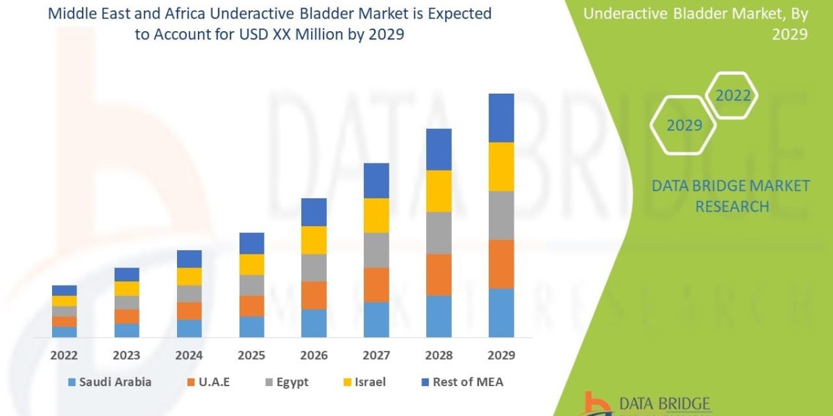 Middle East and Africa Underactive Bladder Market Overview and Future Trends