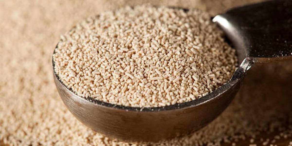 Dry Yeast Market Barriers Uncovered Revealing Hidden Forces Quietly Reshaping Global Supply Chains