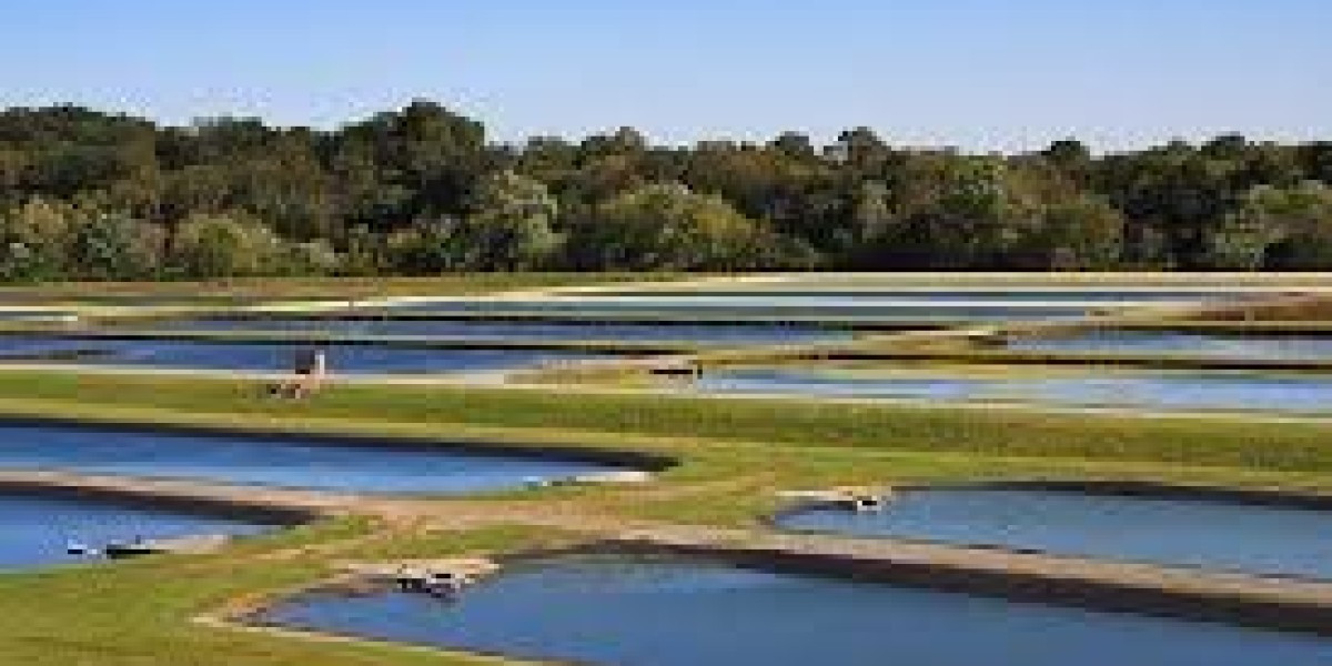 Aquaculture Market Long-Term Outlook Driven by Sustainability and Technological Advancement