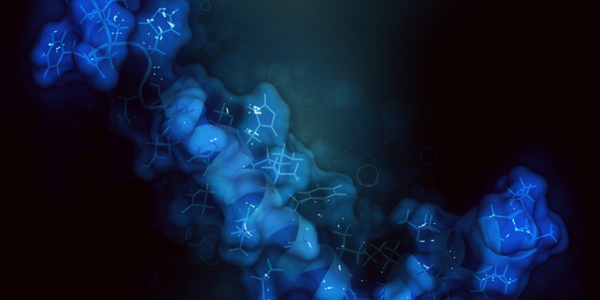 Understanding Primary Cell Research: A Key to Advancements in Biomedical Fields