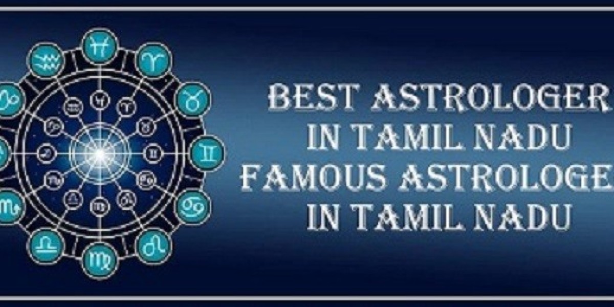 Best Astrologer in Nagapattinam