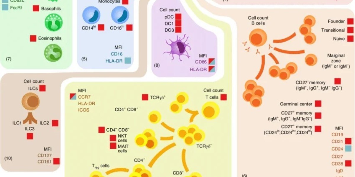 Flow Cytometry Antibodies to Advance Non-Human Primate Research