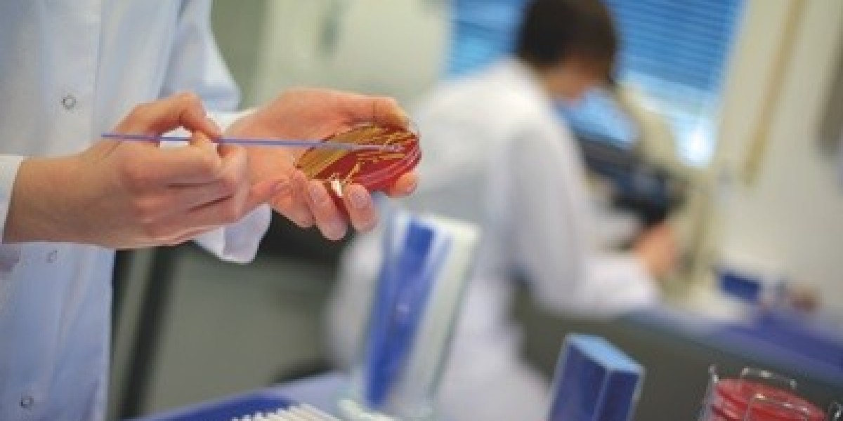 Comprehensive Suite of Advanced Particle Analyzers to Accelerate Innovation in Materials Science and Biotechnology