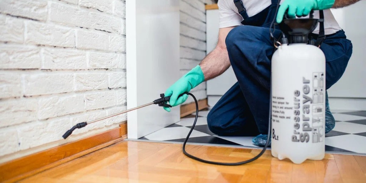 Pest Control Islamabad and Termite Control Rawalpindi: Protecting Homes and Businesses from Costly Damage