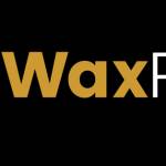 Wax Paper Profile Picture