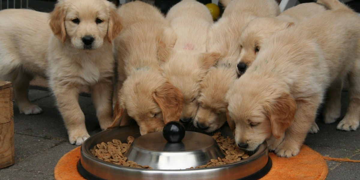 Feeding Strategies for Multi-Breed Households