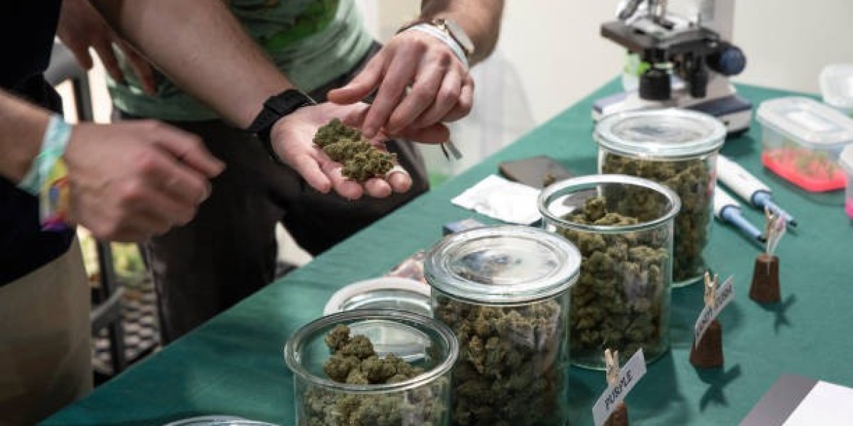 Trusted Cannabis Store for Your Needs