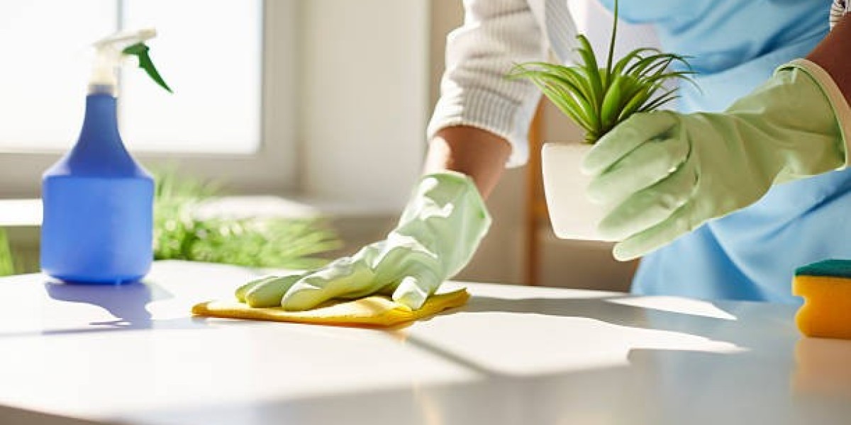 Professional House cleaning Care You Need