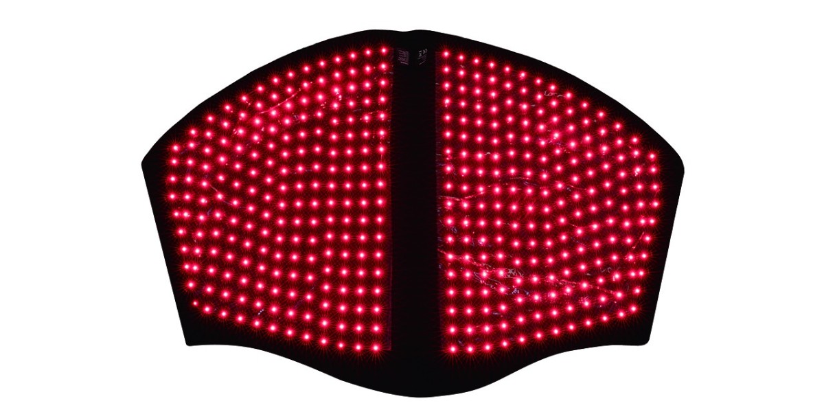 Equine Light Therapy: Smarter LED Technology for Modern Horse Care with SINOCO LED