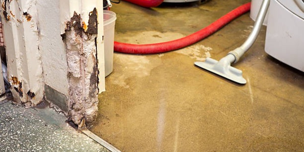 Why You Need Water-Damage Repair Service Today for Homeowners