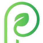 Parchment paper Profile Picture