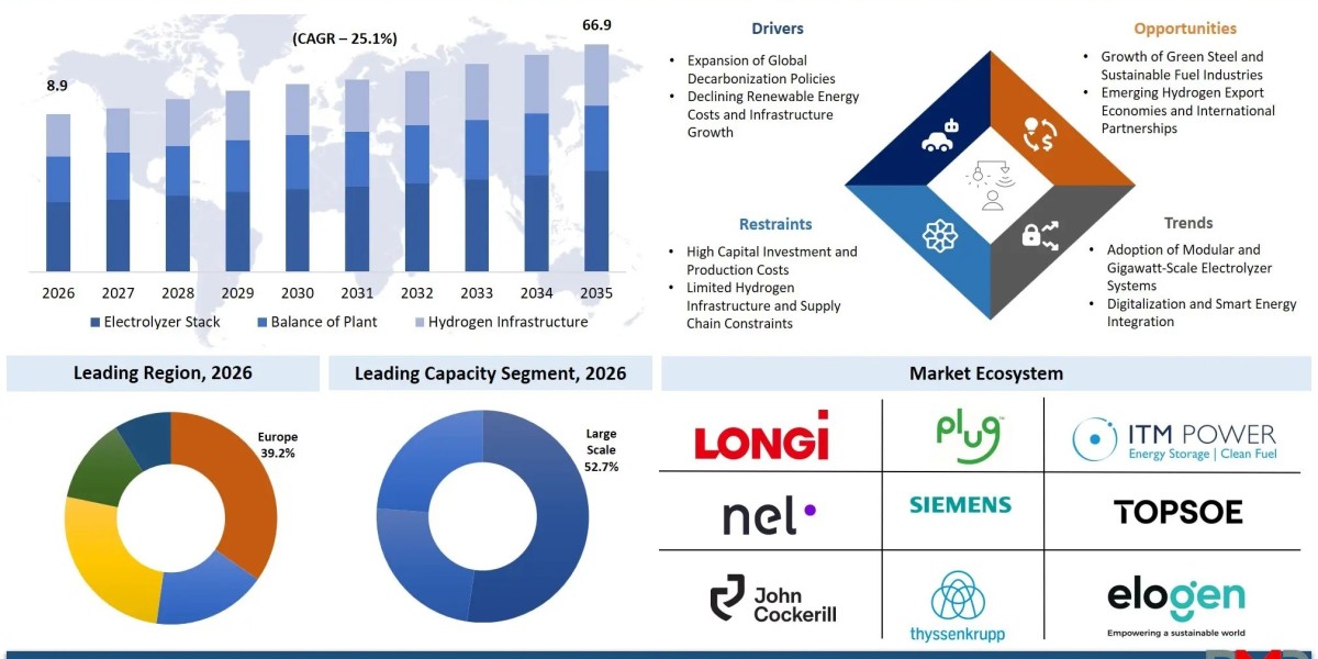 Green Hydrogen Electrolyzer Market Business Growth Analysis: Emerging Trends, Industry Data & Strategic Actions