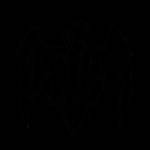 genom148 Profile Picture