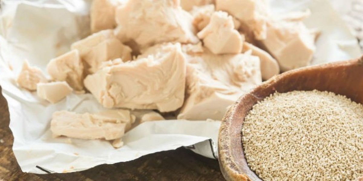 Baker’s Yeast Market Disruptions Reshaping Production, Supply Chains, and Innovation