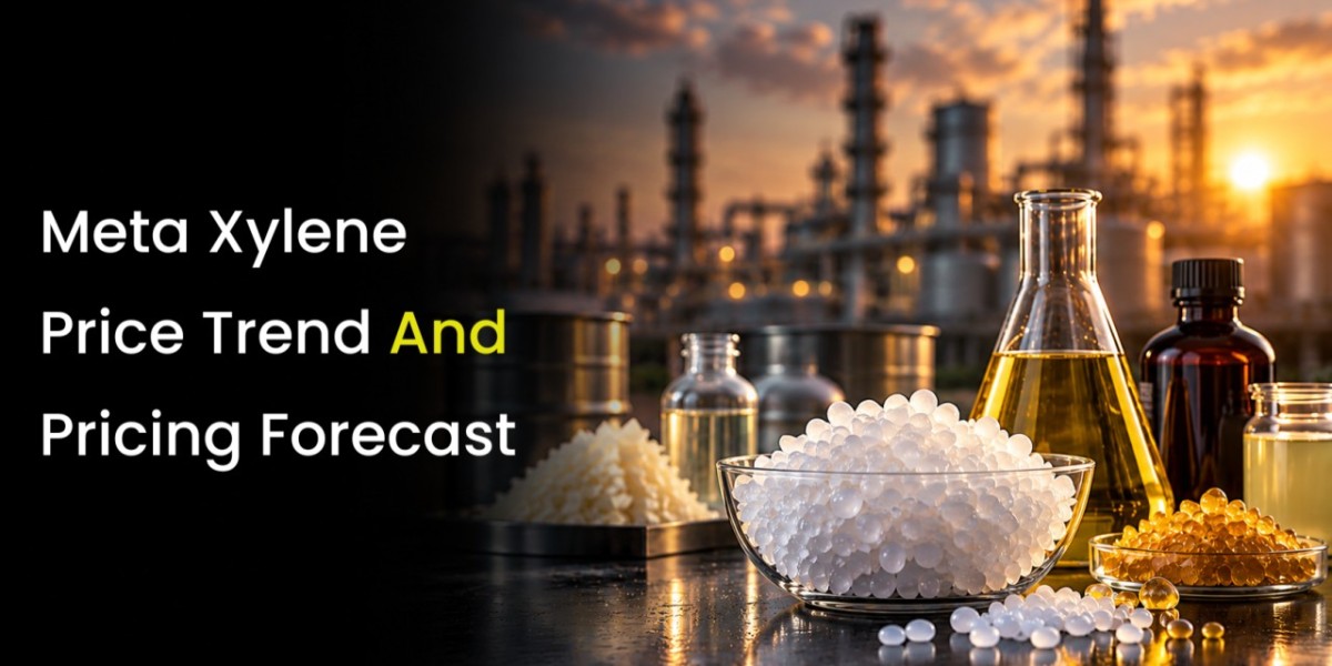 Meta Xylene Price Trend | Q2 2026 Price Trends, Forecast, Chart, Prices and Index