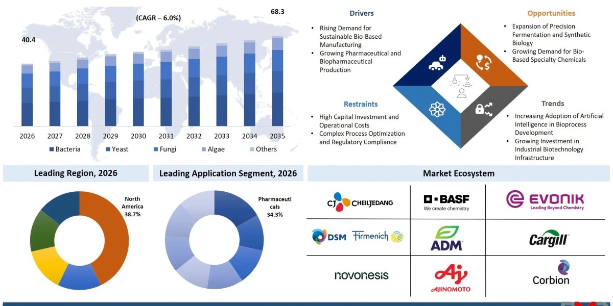 Microbial Fermentation Technology Small Molecules Market Share & Statistics to 2035