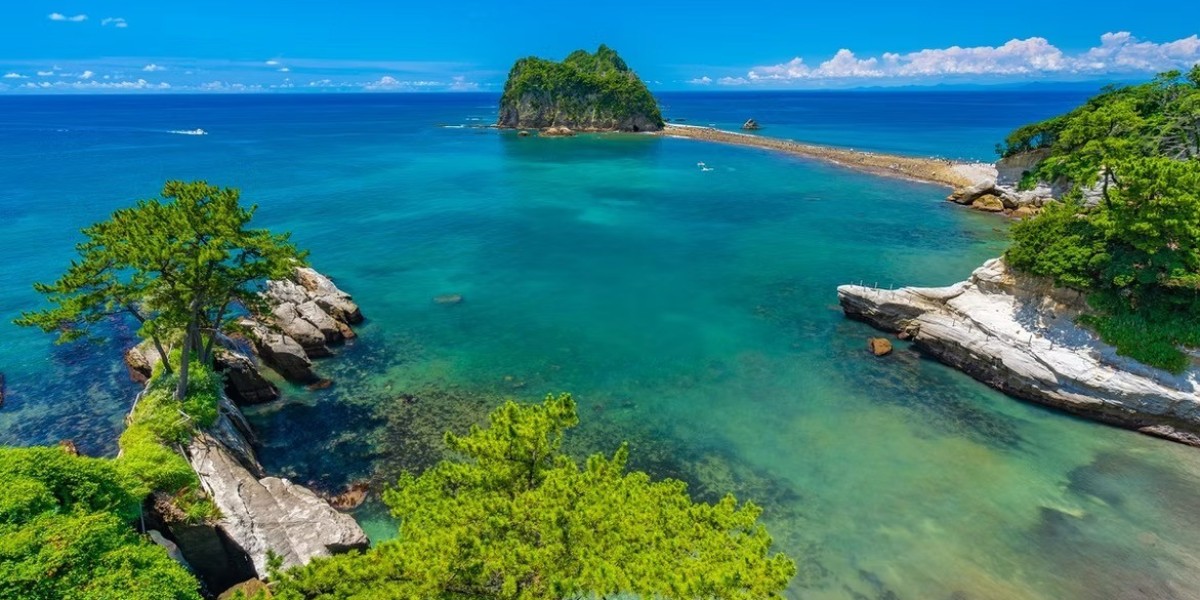 Discover Japan Beyond Tokyo: Plan an Unforgettable Izu Peninsula Tour with Zen Go